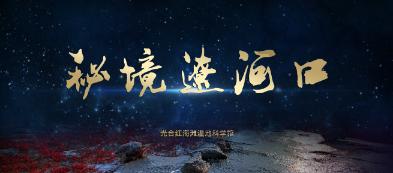 创作猫