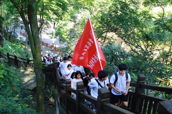 战斗机的反击