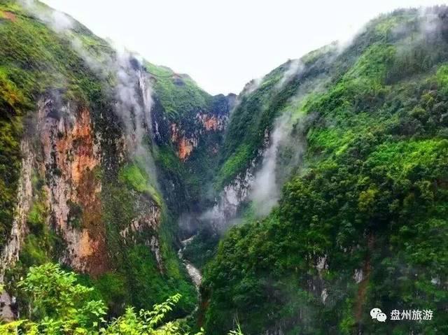 燃烧吧大脑免广告最新版